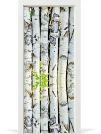 folia-fototapeta-na-drzwi-las-brzozy-drzewa-kora