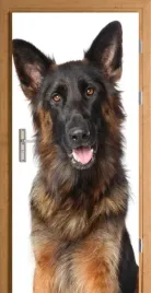 naklejka-fototapeta-na-drzwi-owczarek-niemiecki