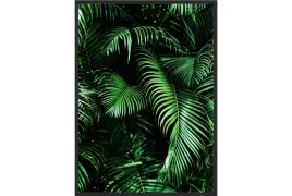 obraz-plakat-40x30-liscie-palmy-rosliny-egzotyka
