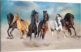 obraz-na-plotnie-dzikie-konie-110x70-canvas-wybor