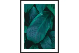 obraz-plakat-40x30-liscie-egzotyczne-dzungla