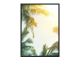 obraz-plakat-40x30-liscie-palmy-palma-egzotyka