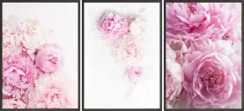 zestaw-plakatow-ramki-3x-33x43-rozowe-piwonie