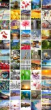 obraz-na-plotnie-aniolek-70x70x2cm-hit-stan-nowy-format-kwadratowy