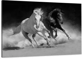 obraz-do-salonu-czarno-bialy-konie-galop-100x70