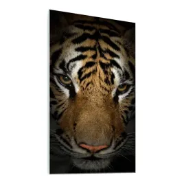 obraz-na-szkle-tygrys-do-salonu-tiger-100x50