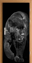 naklejka-fototapeta-na-drzwi-pantera-czarna