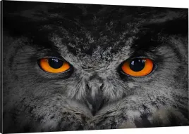 obraz-na-plotnie-sowa-oczy-110x70-800-wzorow