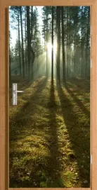 naklejka-fototapeta-na-drzwi-las-slonce