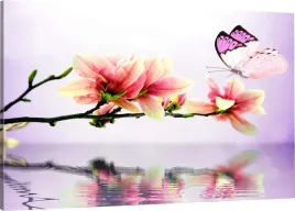 obraz-na-plotnie-magnolia-motyl-110x70-800-wzorow