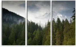 tryptyk-na-plotnie-las-natura-mgla-wybor-wzorow