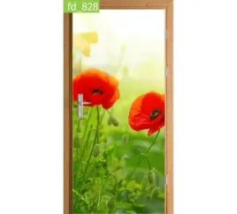 fototapeta-naklejka-na-drzwi-maki-laka-trawa