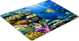 mata-podkladka-pod-krzeslo-rybki-ocean-100x70