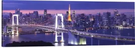 obraz-na-sciane-panoramiczny-tokio-most-miasto-noca-120x40