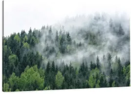 obraz-na-plotnie-las-natura-mgla-100cmwybor-wzorow