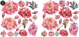 piwonie-kwiaty-peonie-naklejki-na-sciane-50x50-dekoracja-scienna-kwiaty