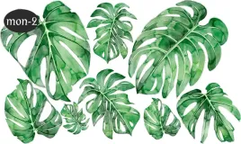 naklejki-naklejka-samoprzylepna-monstera-liscie-botanika-na-sciane