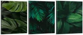 tryptyk-obrazy-180x80-na-sciane-liscie-monstera