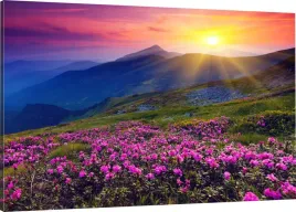 obraz-na-plotnie-gory-kwiaty-zachod-110x70-980-wz