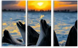 tryptyk-obraz-na-sciane-delfiny-delfin-wybor