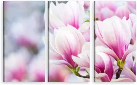 tryptyk-obraz-na-sciane-do-salonu-magnolia-kwiaty