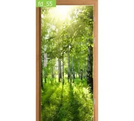 fototapeta-naklejka-na-drzwi-las-brzozy