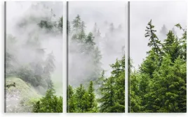 tryptyk-na-plotnie-las-natura-mgla-wybor-wzorow