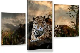 tryptyk-do-sypialni-jaguar-tygrys-zwierzeta