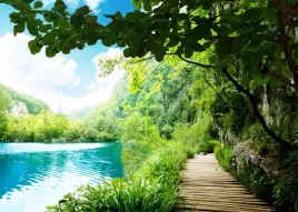 fototapety-3d-las-drzewa-fizelina-maxwybor-260x173