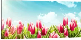 obraz-panorama-kwiaty-tulipany-120x40