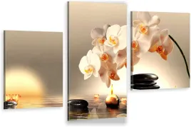 tryptyki-obraz-na-sciane-biala-orchidea-800-wzorow