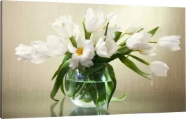 obraz-na-plotnie-biale-tulipany-110x70-maxwybor