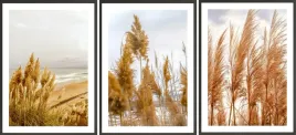 zestaw-plakatow-postery-3x-50x70-boho-na-topie