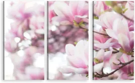 tryptyk-obraz-na-sciane-kwiaty-magnolii-980-wzorow