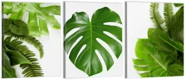 tryptyk-obrazy-180x80-na-sciane-monstera-lisc