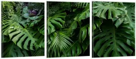tryptyk-obrazy-120x50-na-sciane-monstera-jungla