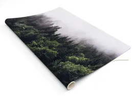 samoprzylepna-okleina-laminowana-las-we-mgle-mgla