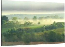 obraz-na-plotnie-mgla-las-drzewa-mazury-90x60