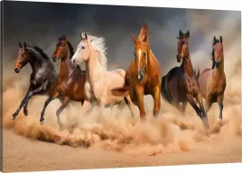 obraz-na-plotnie-stado-konie-100x70-980-wzorow
