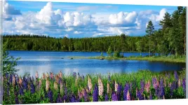 obraz-panorama-do-salonu-sypialni-jezioro-100x40
