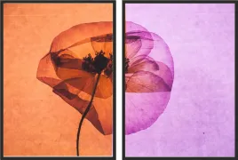 obraz-plakat-dyptyk-60x40-wybor-wzorow-maki-kwiaty