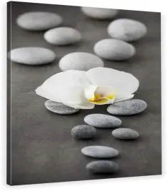 obraz-na-plotnie-orchidea-kamienie-70x70x2cm-hit
