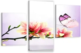 tryptyki-obraz-na-sciane-magnolia-motyl-800-wzorow