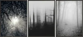 zestaw-plakatow-ramki-3x-33x43-las-czarno-bialy