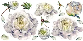 naklejka-na-sciane-kwiaty-piwonie-200x100-wybor
