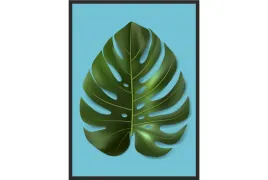 obraz-plakat-70x50-lisc-monster-poster-do-jadalni