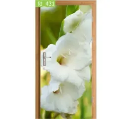 fototapeta-naklejka-na-drzwi-natura-kwiaty-biale