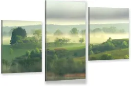 tryptyk-na-plotnie-mgla-las-drzewa-mazury