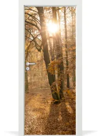 folia-fototapeta-na-drzwi-zlota-jesien-las-park