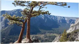 obraz-panorama-do-salonu-gory-drzewo-widok-100x40